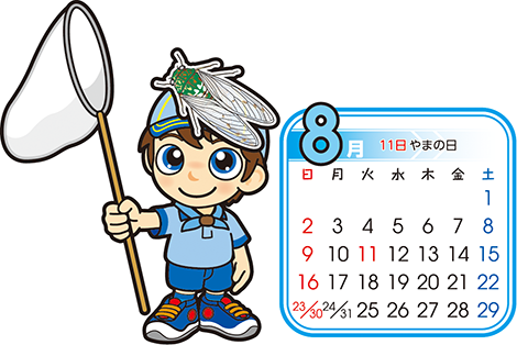 ビーバー 8月
