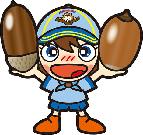 ドングリビーバー