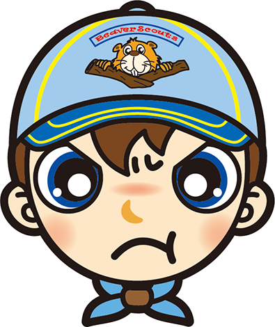 怒り　ビーバー