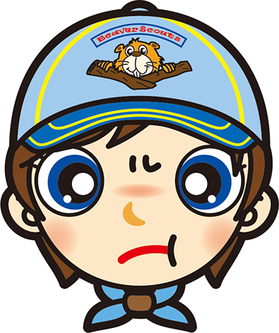 怒り　ビーバー