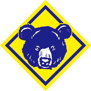 カブキャップ帽章