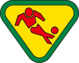 4-3　スポーツ選手