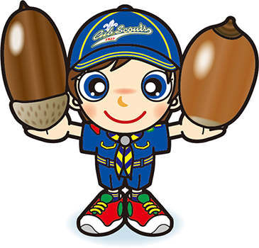 ドングリスカウト