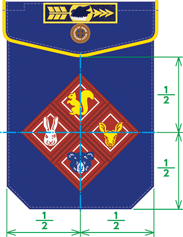 進級記章着用見本