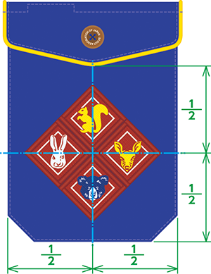 進級記章着用見本