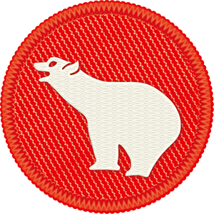 シロクマ班